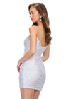 AshleyLauren 24 Style # 4715