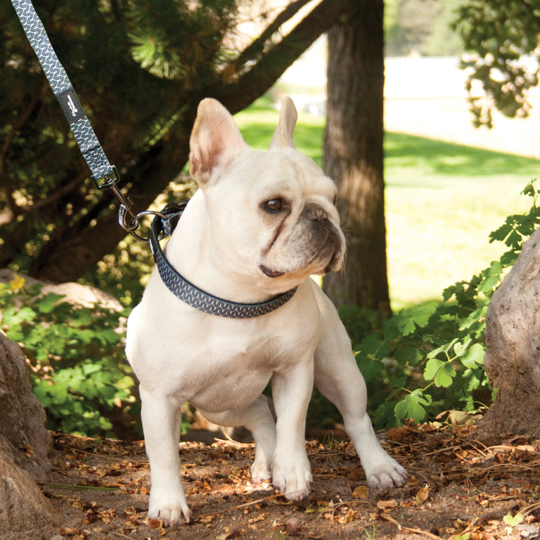 Charlotte & Emerson The Myles Collection Premium Dog Collar & Leash Set - Black and White Geometric